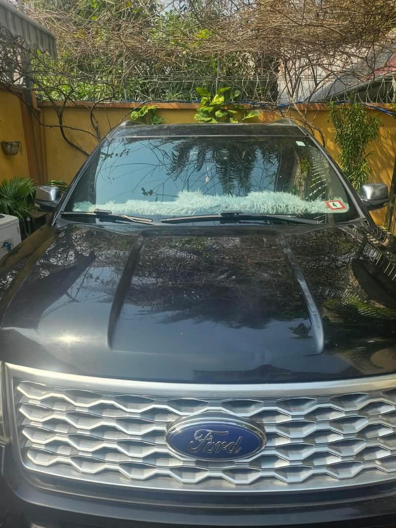 Ford Platinum