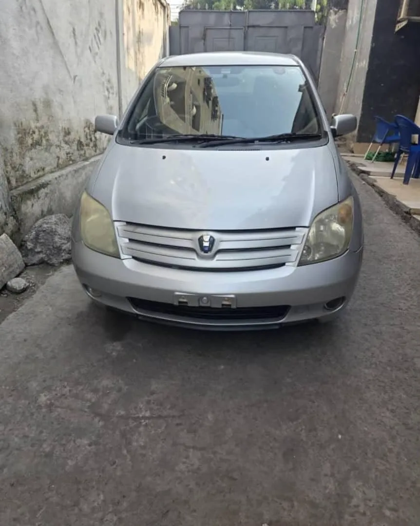 Toyota Blade Sport