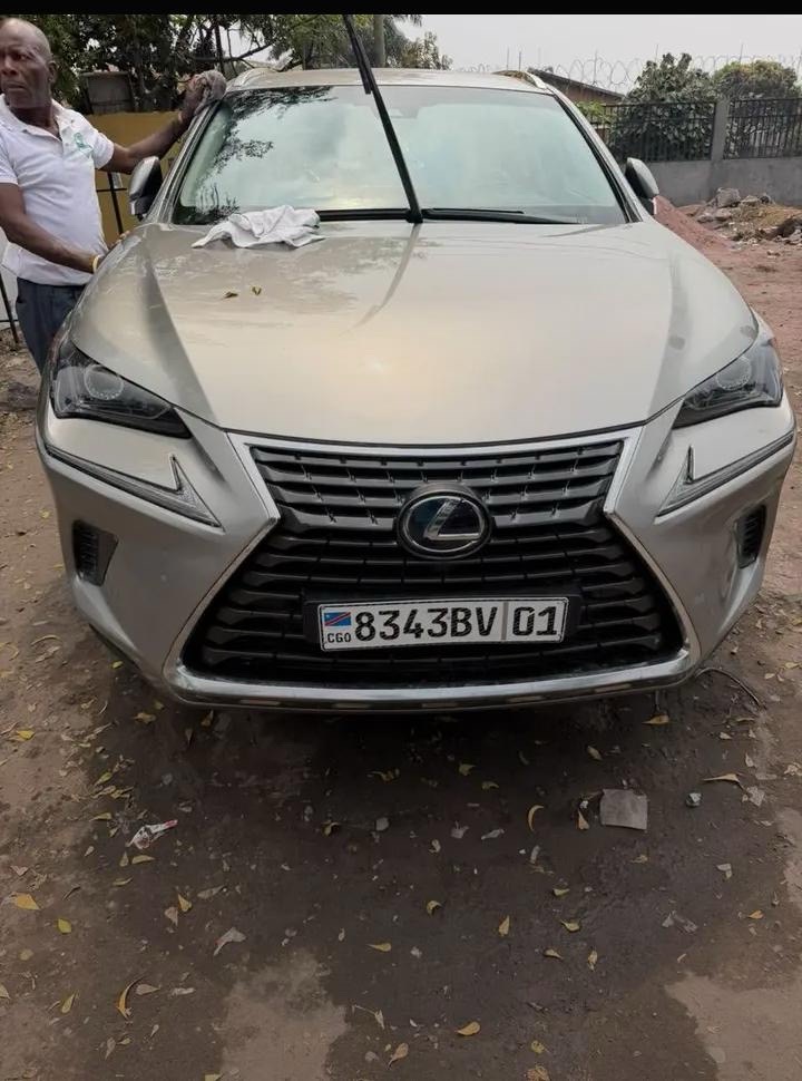 Toyota Lexus Nx300h
