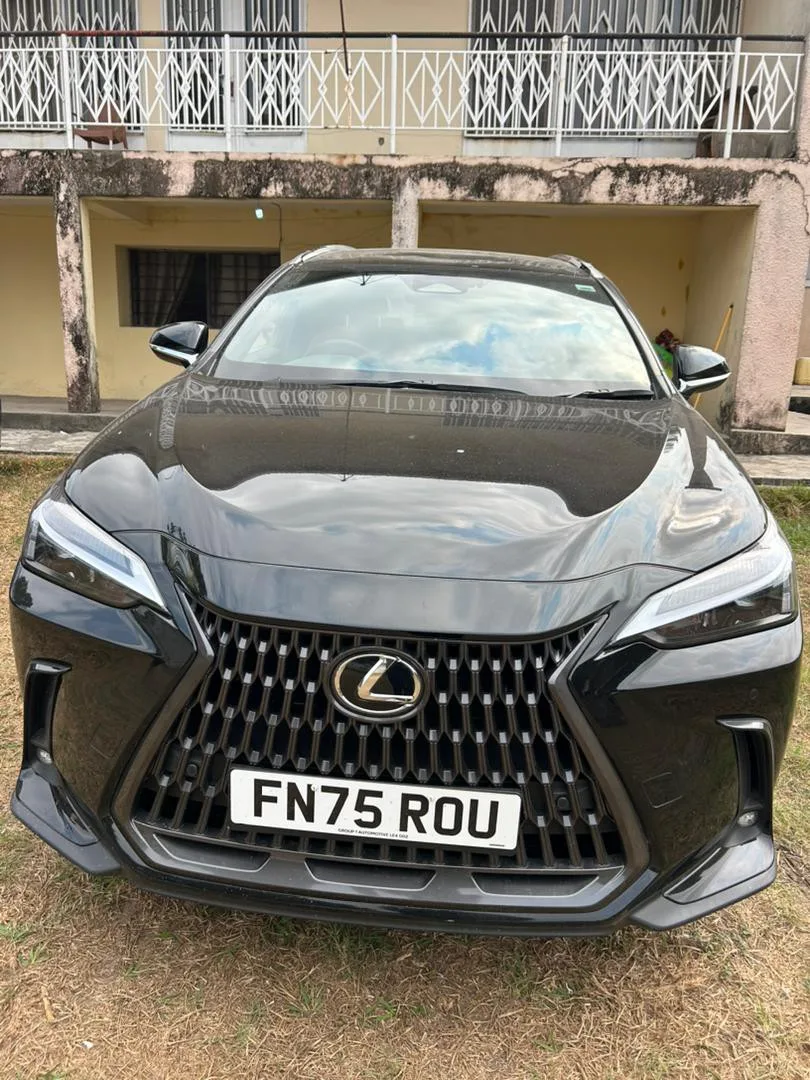 LEXUS NX
