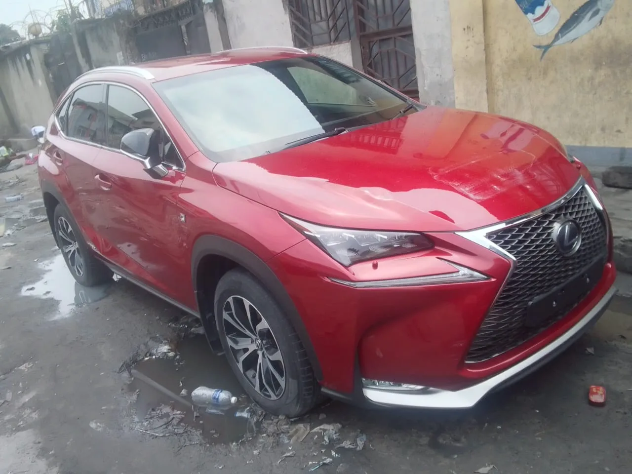 LEXUS NX 300
