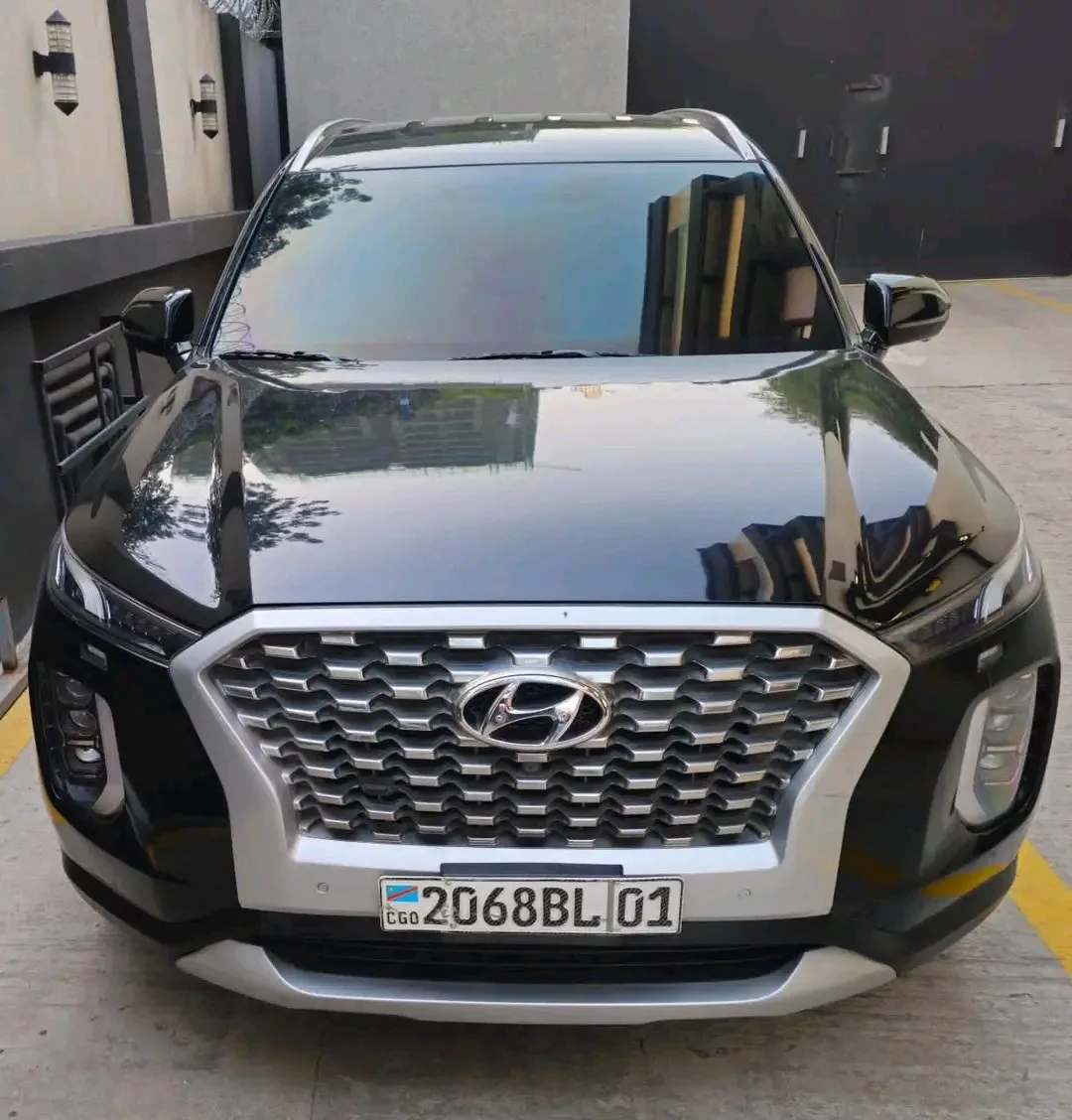 Hyundai palissade