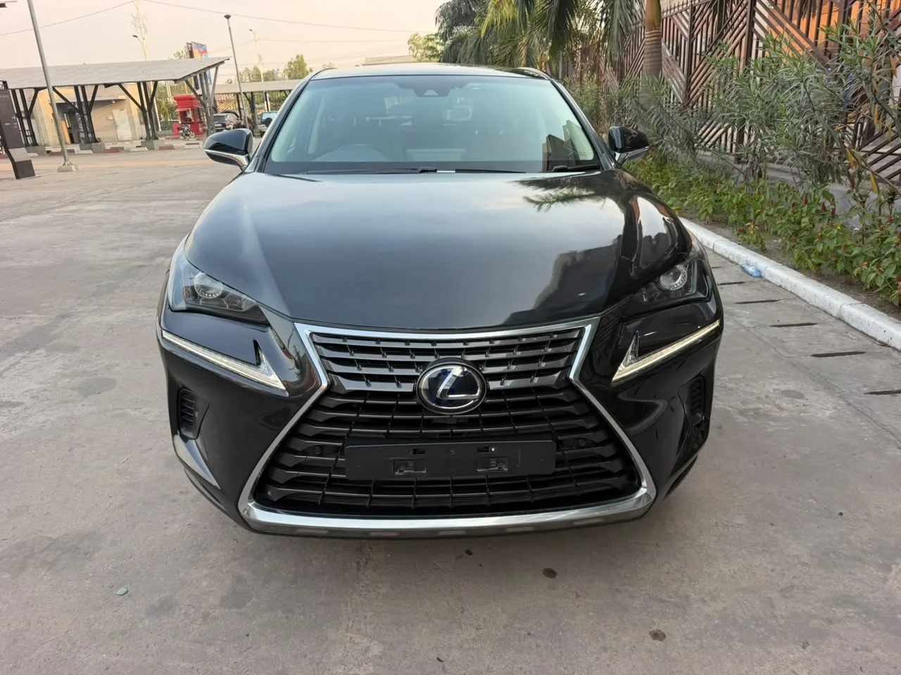 Lexus