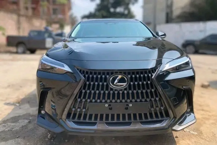 LEXUS NX 450h