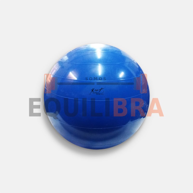 Pelota alta resistencia - 55 Cm