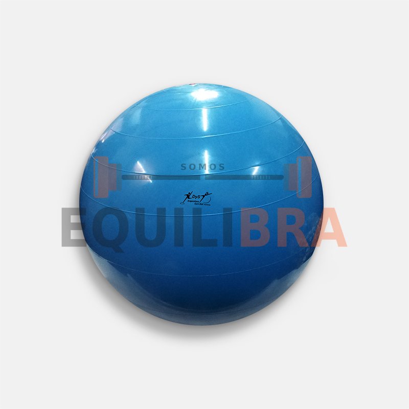 Pelota alta resistencia - 65 Cm