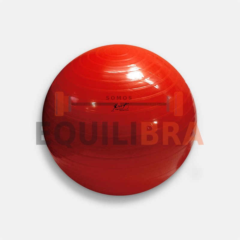 Pelota alta resistencia - 75 Cm