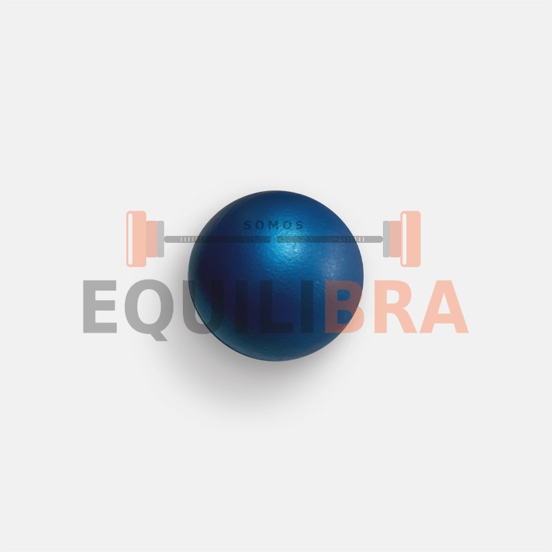 Toneball 10 KG.  -  27 CM - Color Azul