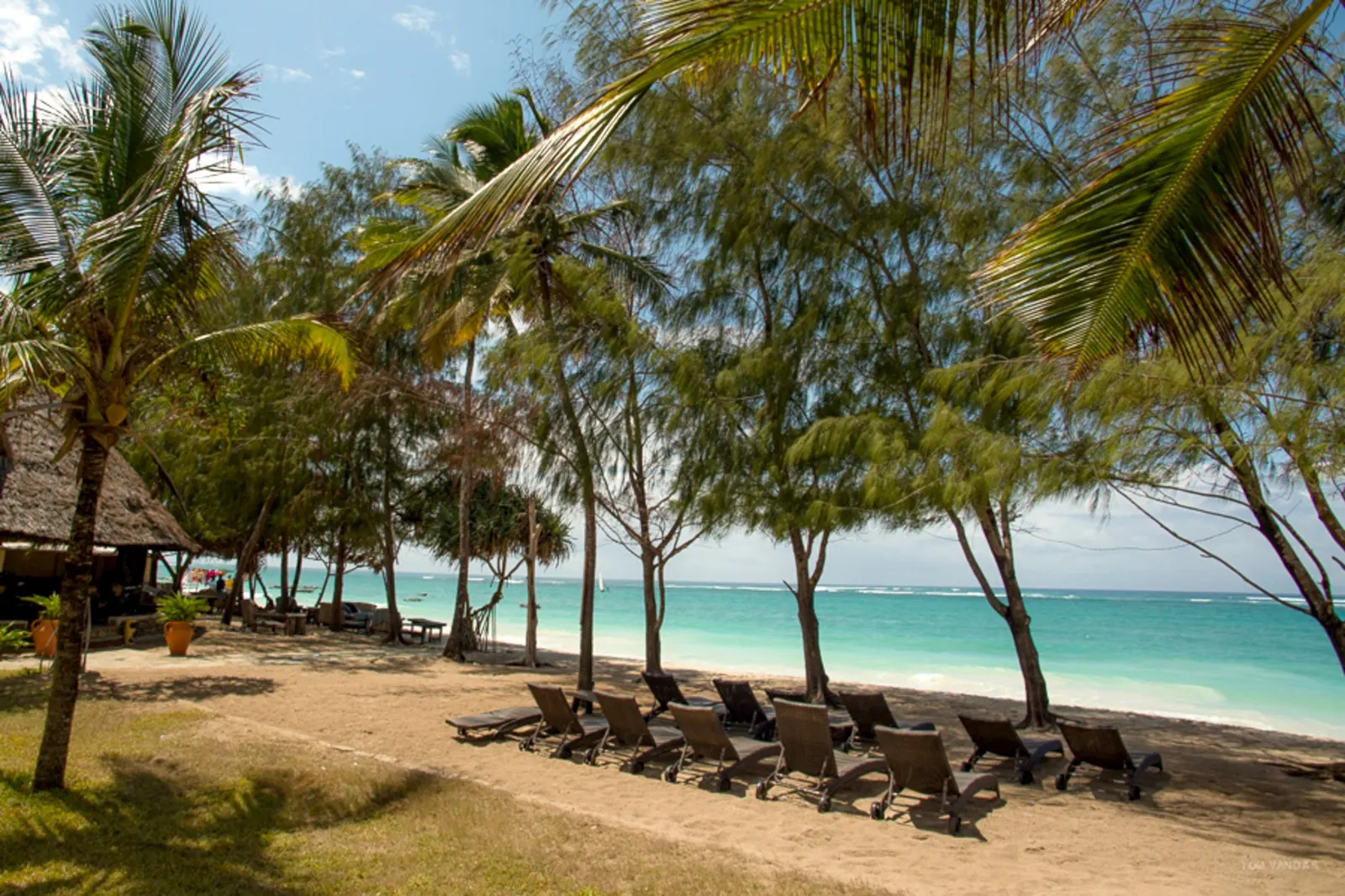Palm-lined beach at Bahari Dhow Beach Villas