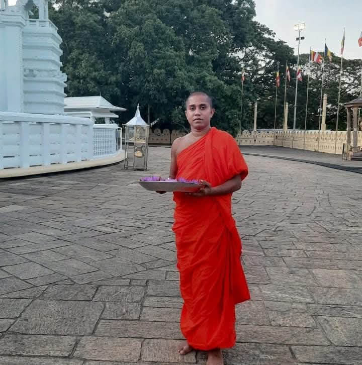 pricipal thero photo