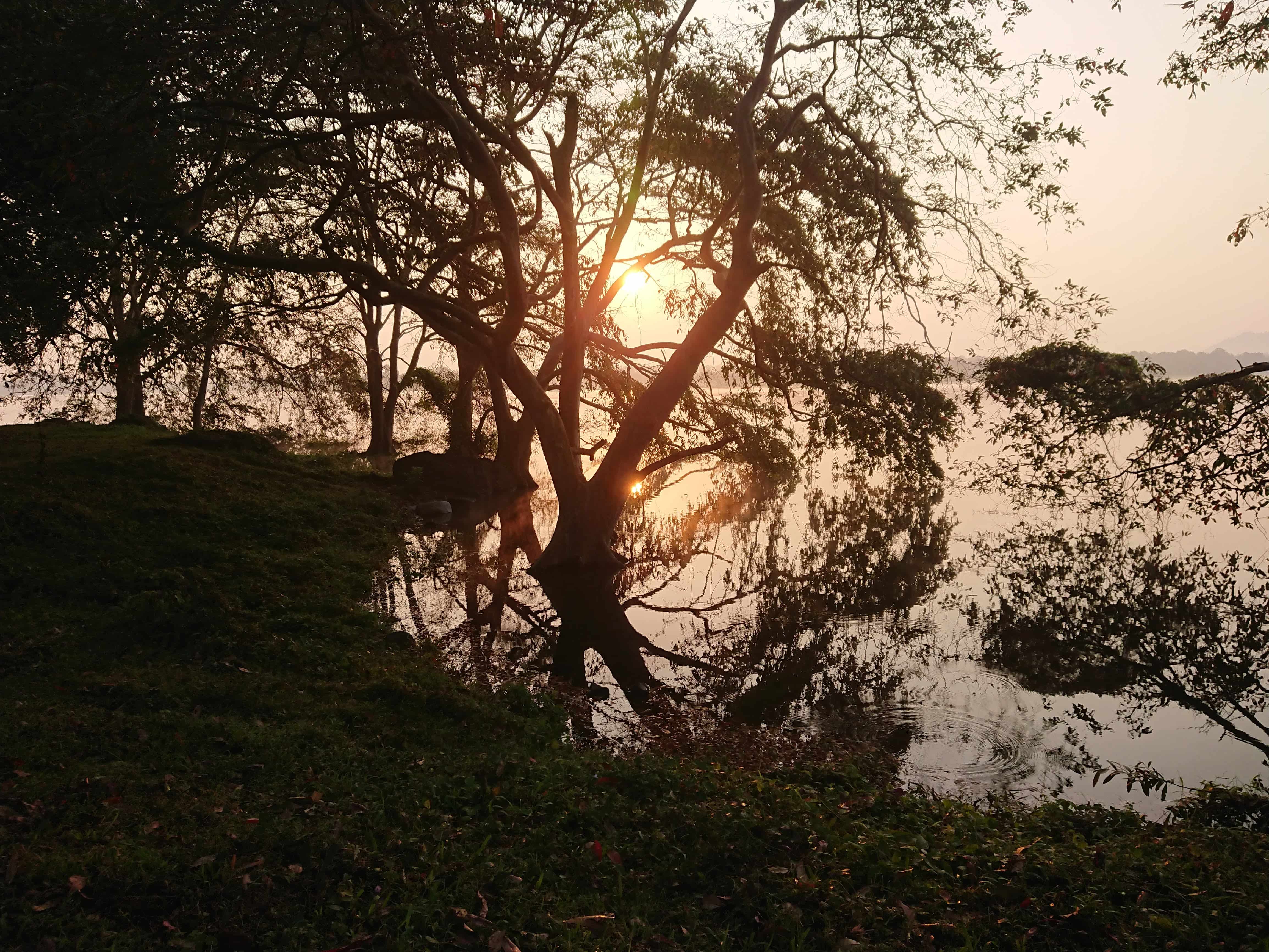 galleryimg