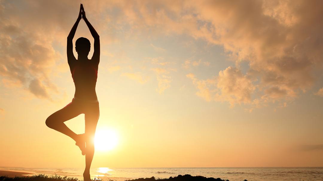 Wellness