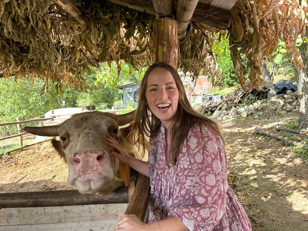 Positano and Amalfi Wine Private Tour with Wine Tasting and Lunch