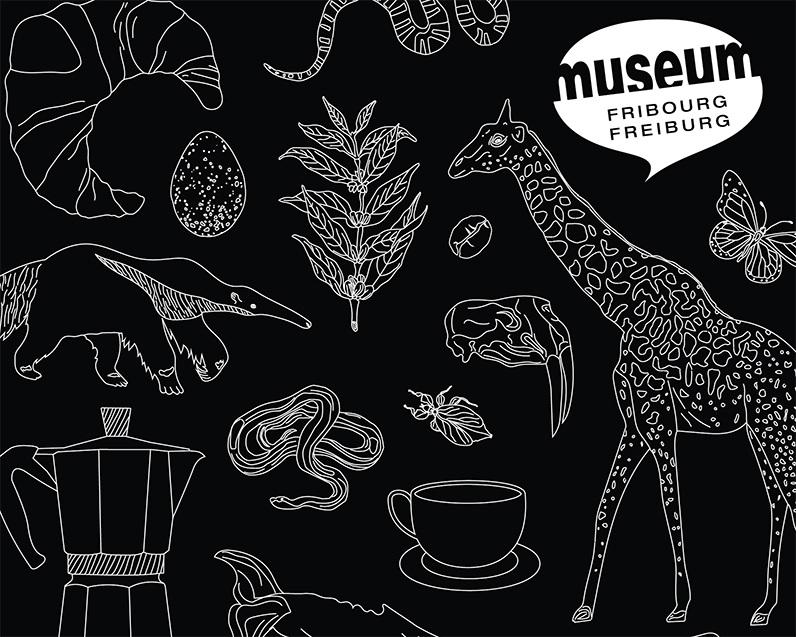 Café-visite : Notre baleine en miniature