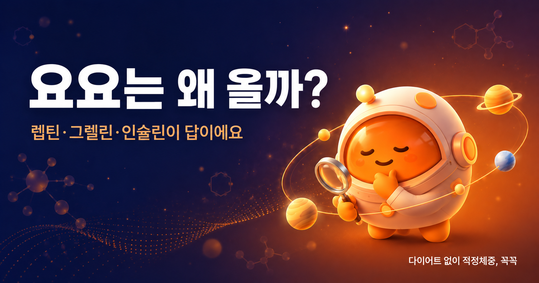 요요는 왜 올까? 호르몬이 다이어트를 무너뜨리는 방식 (렙틴·그렐린·인슐린)