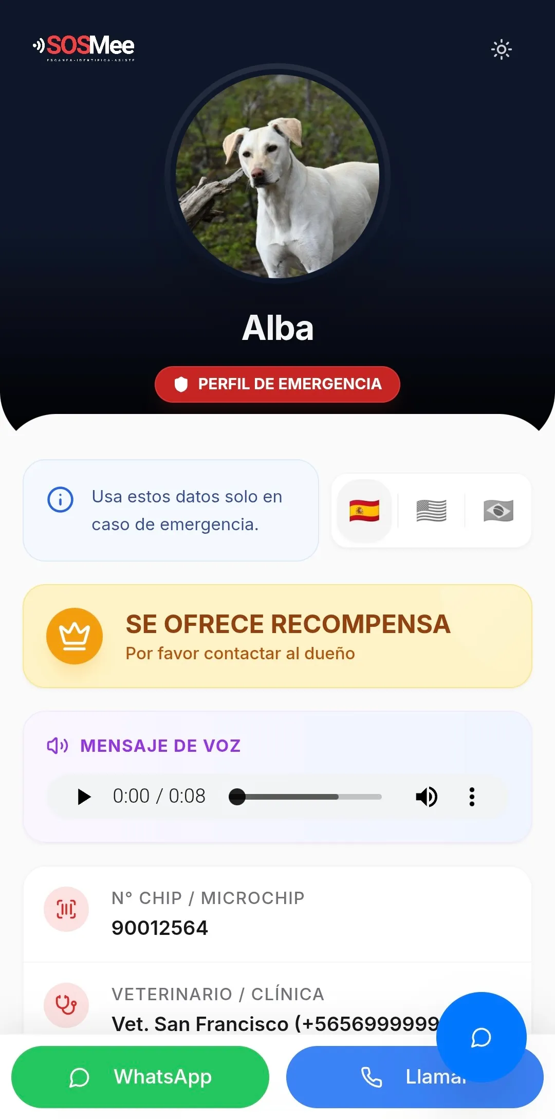 Vista previa del perfil