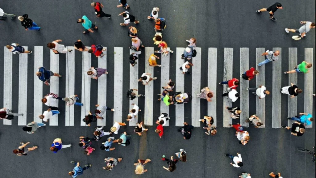 Altı Sosyoloji Yaklaşımı