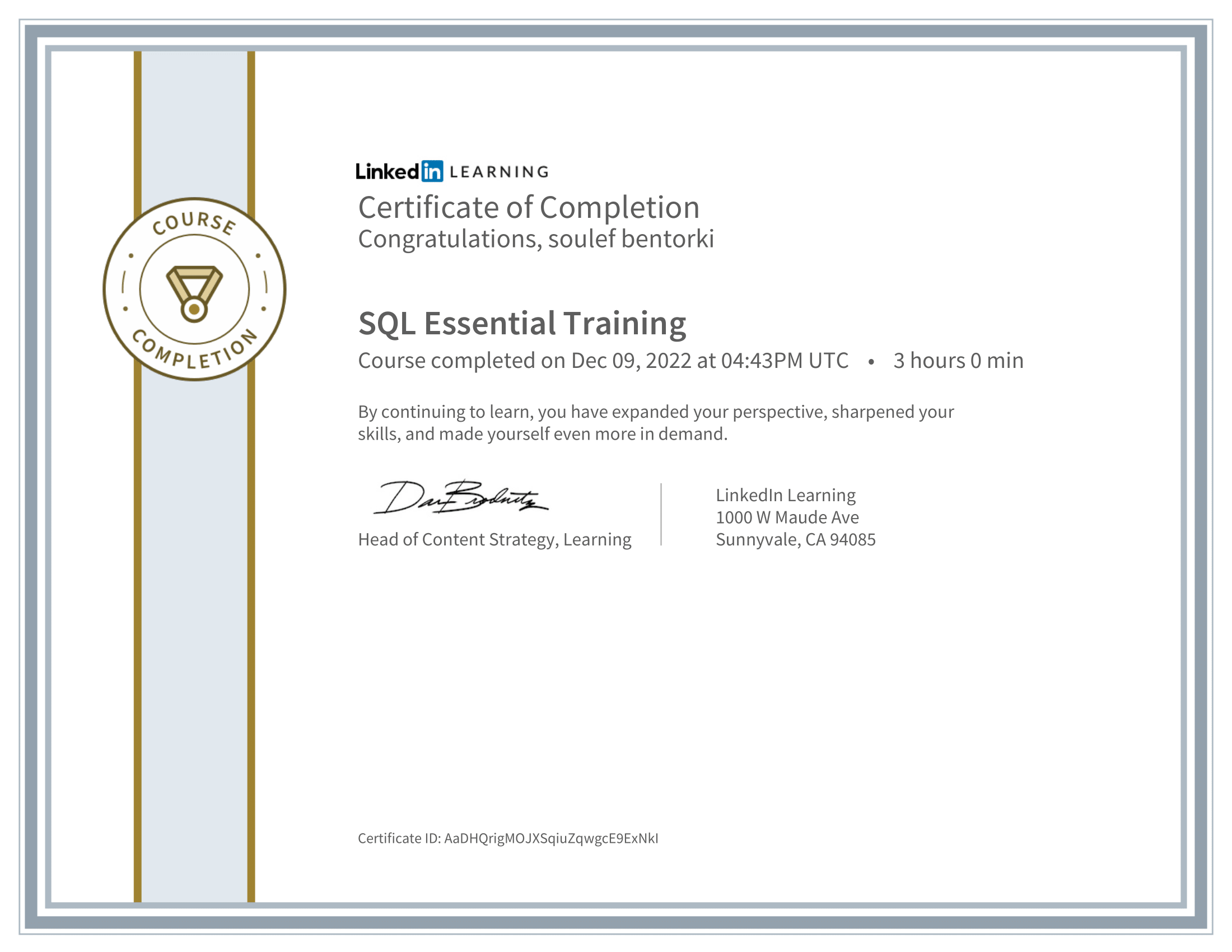 SQL Essential Training