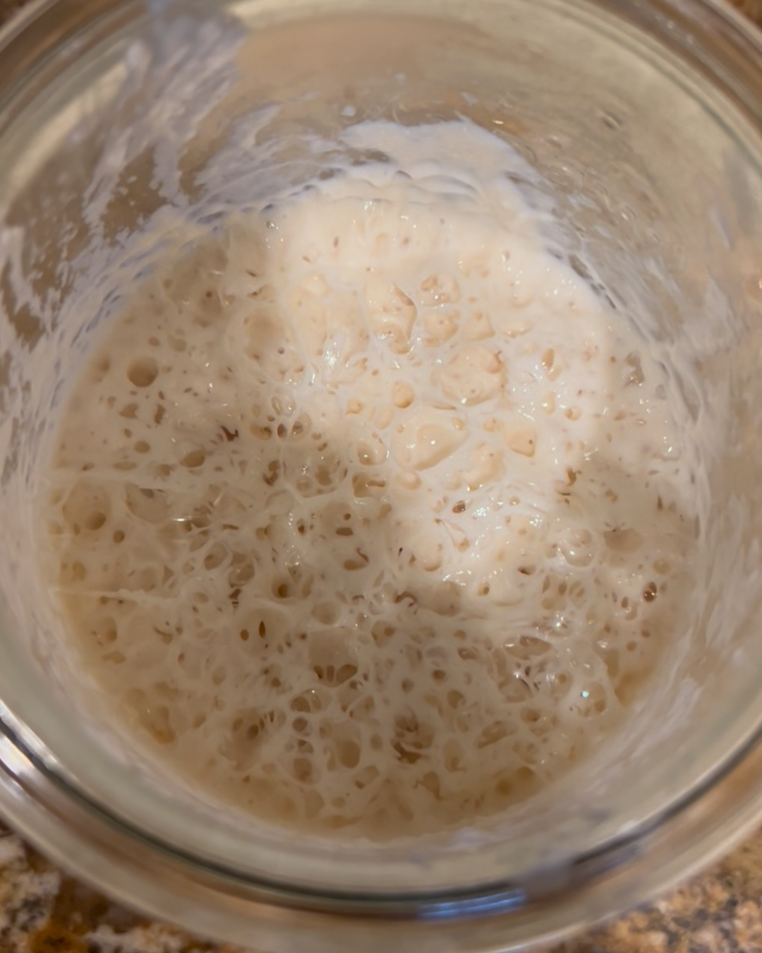 Sourdough Starter from Scratch