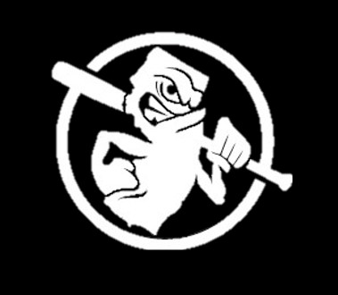 Riot Baseball logo