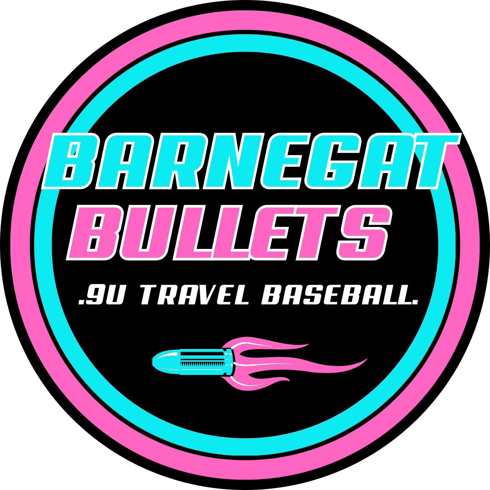 Barneget Bullets logo