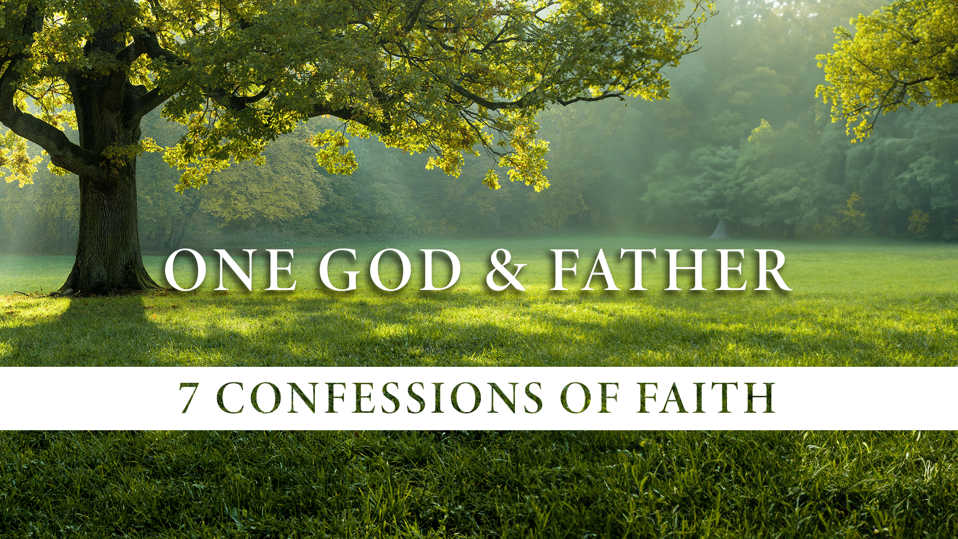 7 Confessions of Faith