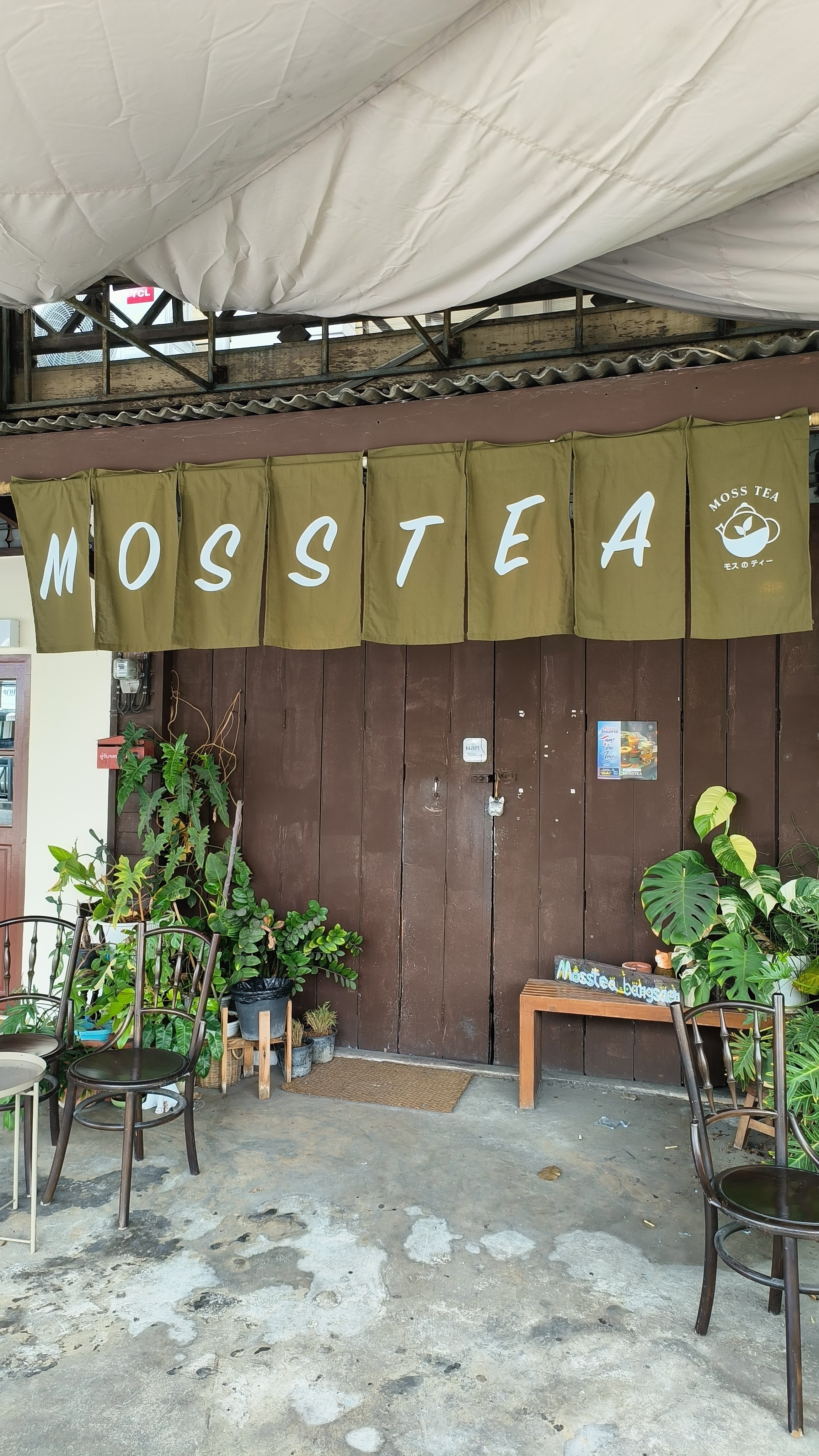 MossTea