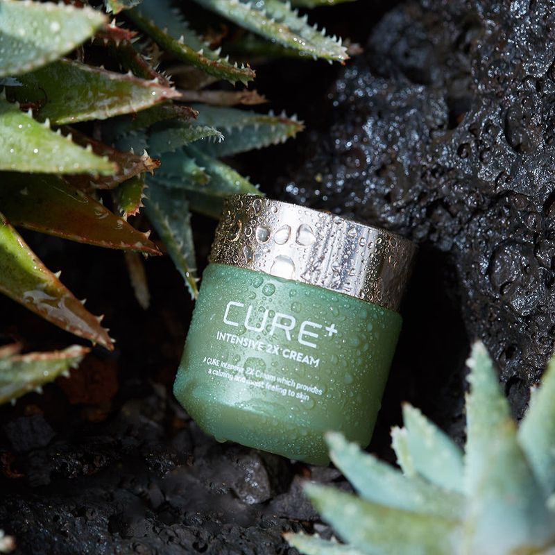 [1+1] Kim Jung Moon Aloe Cure Intensive 2x Cream [50g] (+Extra Sample Included)
