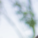Myriam photo profile