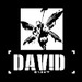 David photo profile