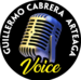 Guillermo Cabrera Arteaga Voice photo profile