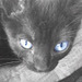 Juan Sebastian  photo profile