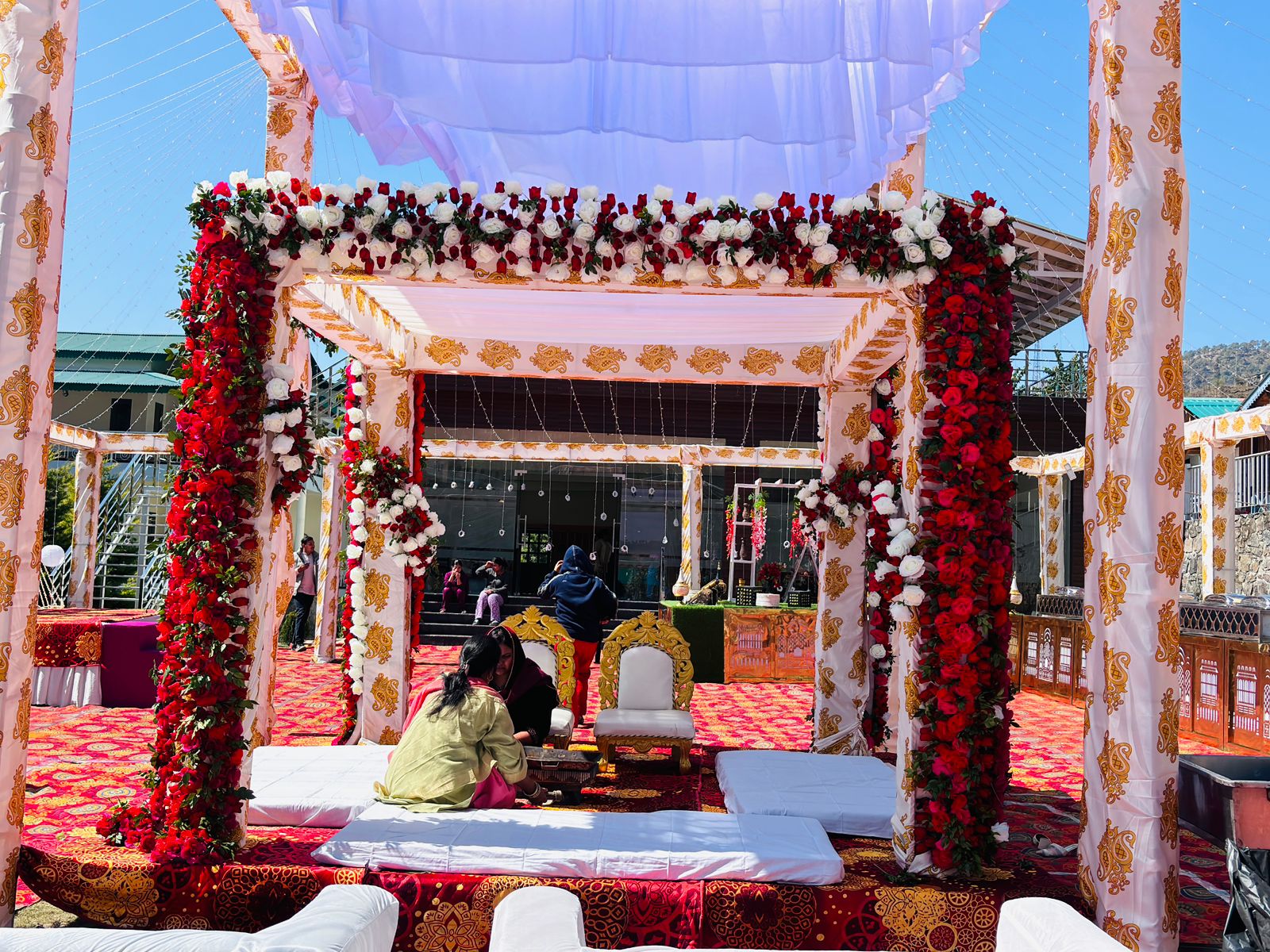 Professional photography and videography