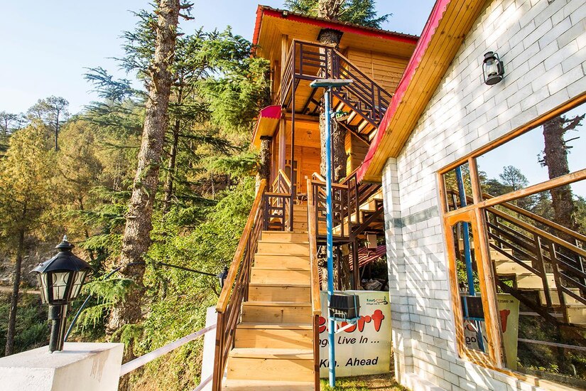 Tree House