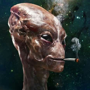 Arielix