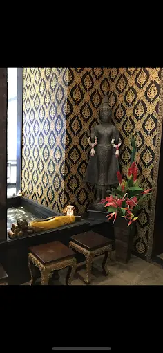 Bodhi Luxury Spa  spa in Nerul