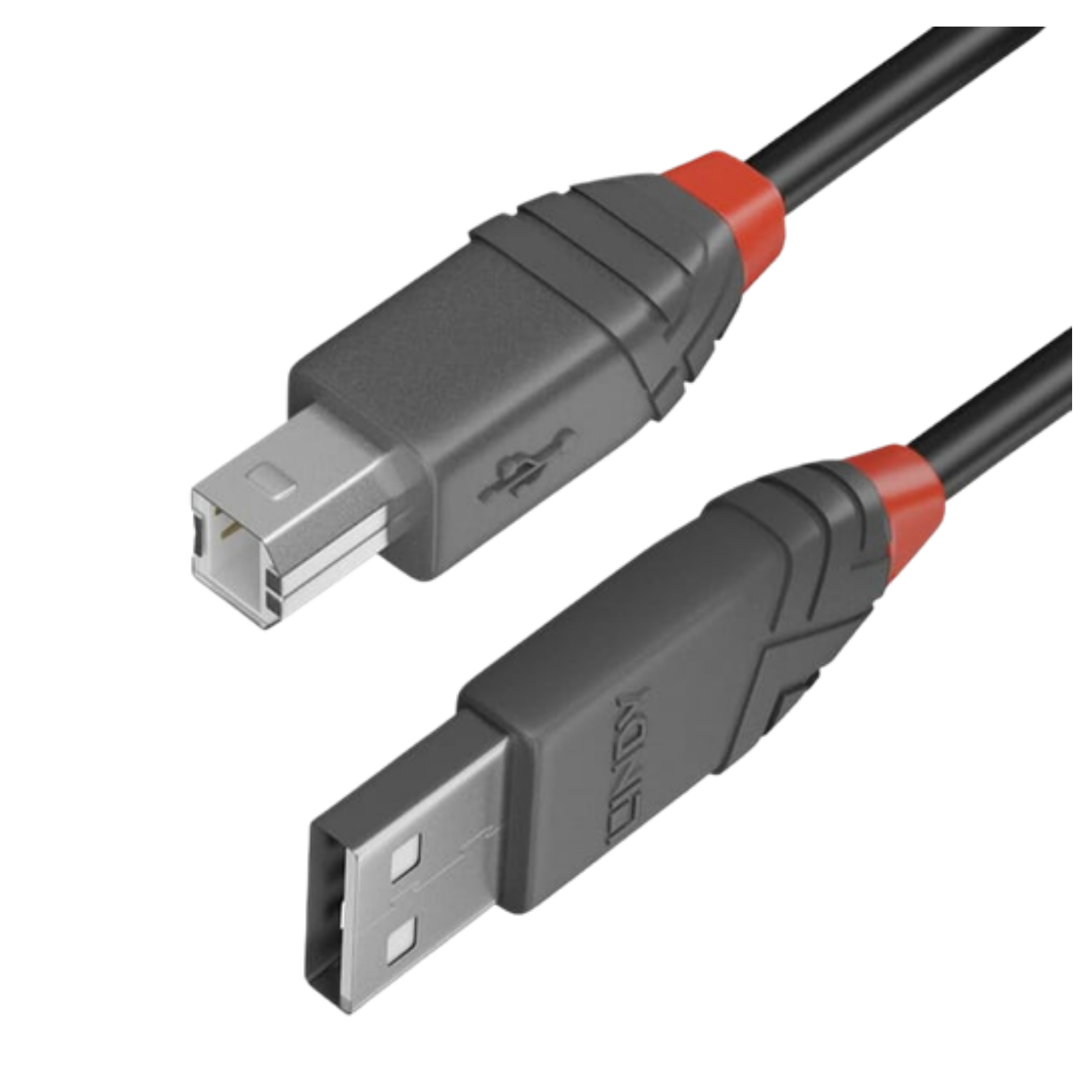  CABLE USB TYPE B 2M