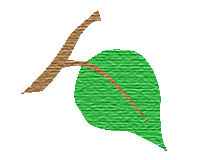 leaf