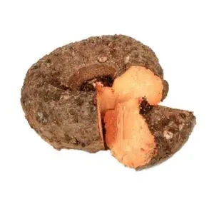 Yam 