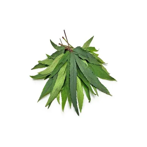 Gongura (Rosella leaves)