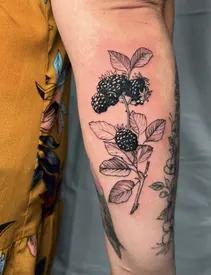 berries