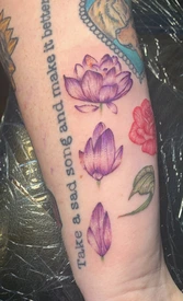 blooming lotus