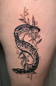 eel
