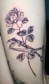 rose and scissors