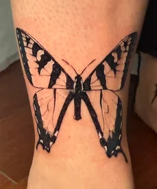 tiger butterfly