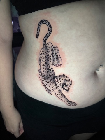 Leopard