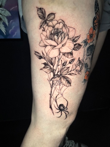 Spider rose