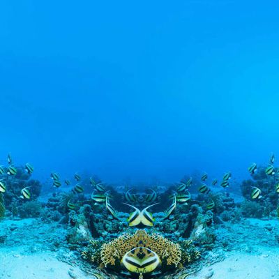 Aqualogistics