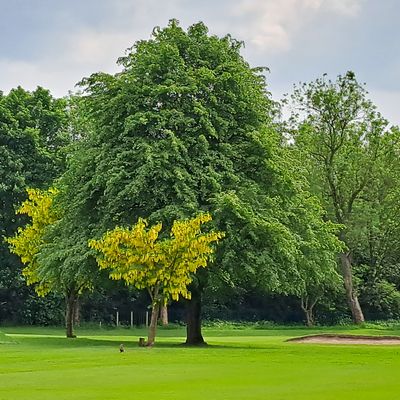 Chorlton Golf Club