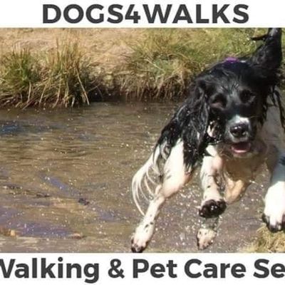Dogs4Walks